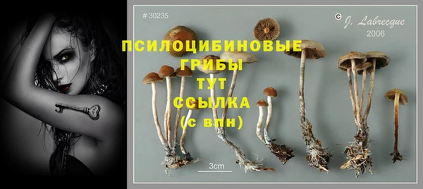 гидропоника Михайловск