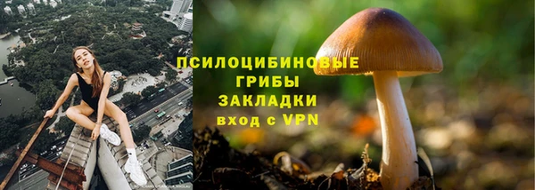 гидропоника Михайловск