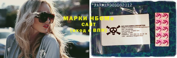 шишки Медвежьегорск